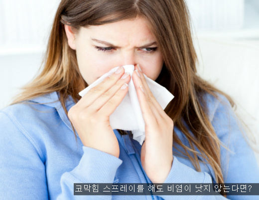 해도 이미지