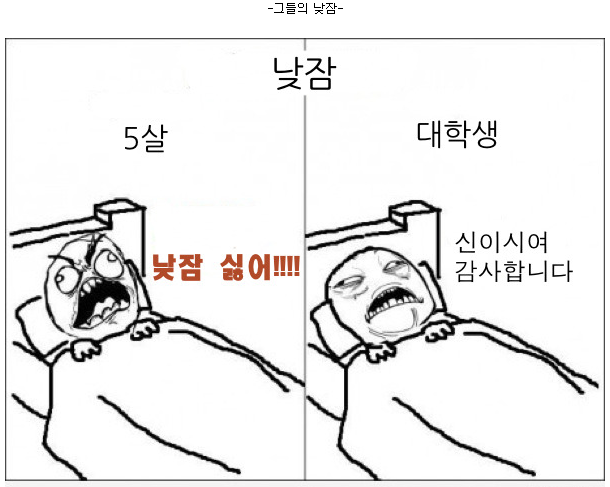 ì ë¨¸ì§¤ëª¨ìì ëí ì´ë¯¸ì§ ê²ìê²°ê³¼