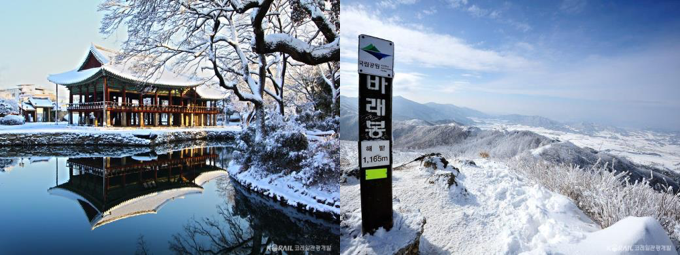 보성카써비스 이미지