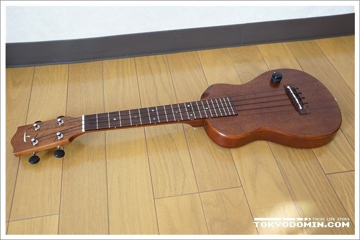 티즈 우쿨렐레(t's Ukulele) EC-100인 사일런트 우쿨렐레(일렉 우쿨렐레) 구입 및 개봉기